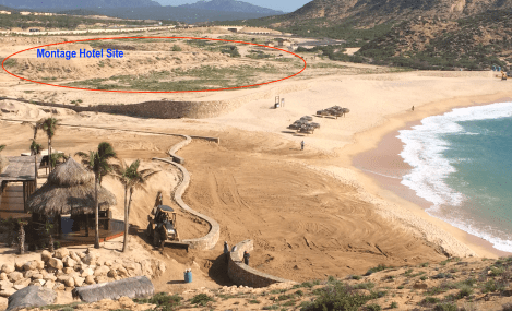 Screen Shot 2020-08-01 at 9.01.56 AM